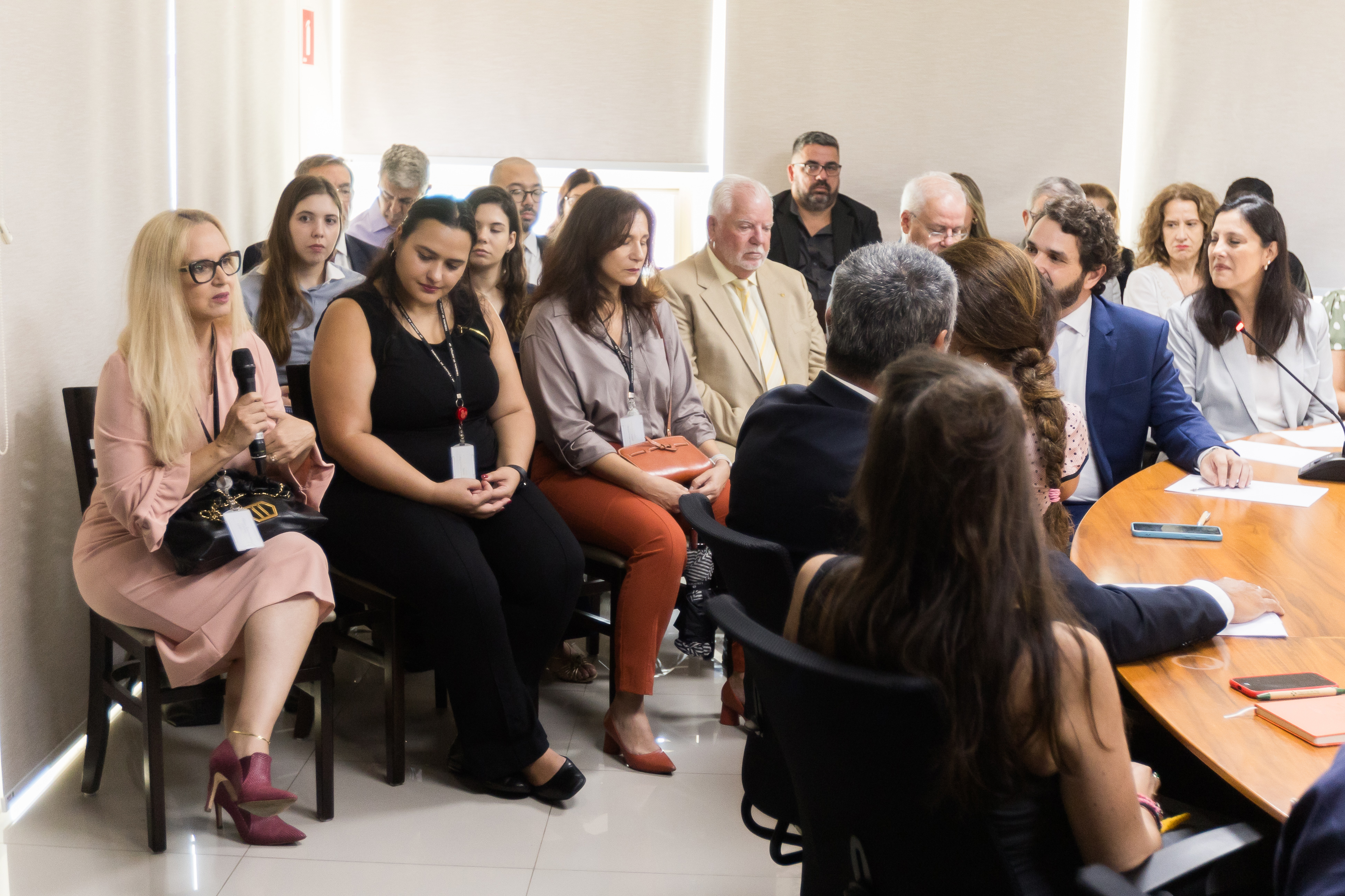 Reunião do SEMEAR em 29 de janeiro - Foto: Mateus Henrique Sales | OAB-SP