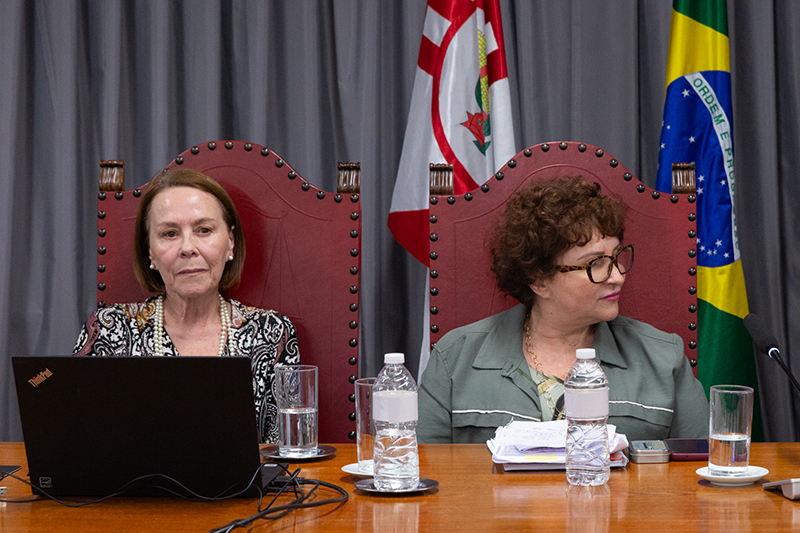 Maria Elisa e Solange Senese - Foto: Comunica&ccedil;&atilde;o Social TJSP / Imprensa EPM