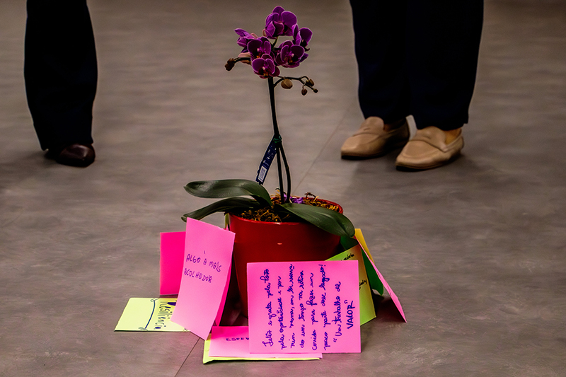 Foto: Michel Mota | A&ccedil;&atilde;o Pela Paz