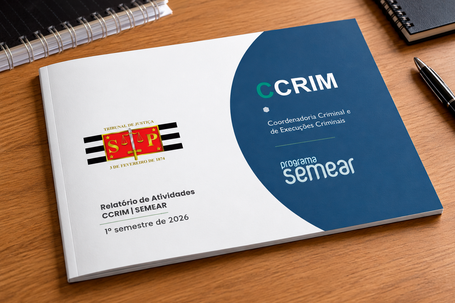 Relat&oacute;rio de Atividade CCRIM / SEMEAR - Foto: ilustrativa
